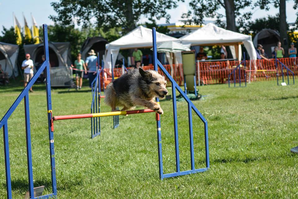 Jumping