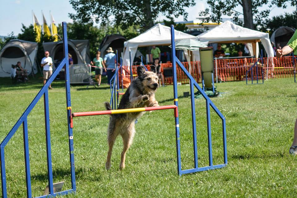 Jumping