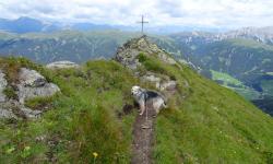 Auf einem schmalen Grat wandern wir zum Spitzköfele