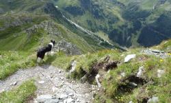 Tilliacher Joch vor uns