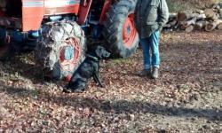Pause vor der Bildereiche