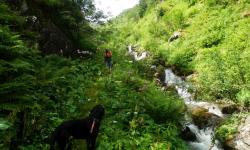 Wasserfall des Hollbrucker Baches