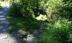 Hier beginnt ein breiterer Forstweg.