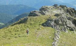Die letzten Felsen vor der Halserhütte.