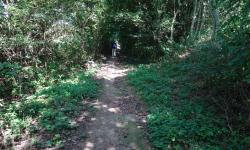 Nach Hadersfeld - Waldweg.